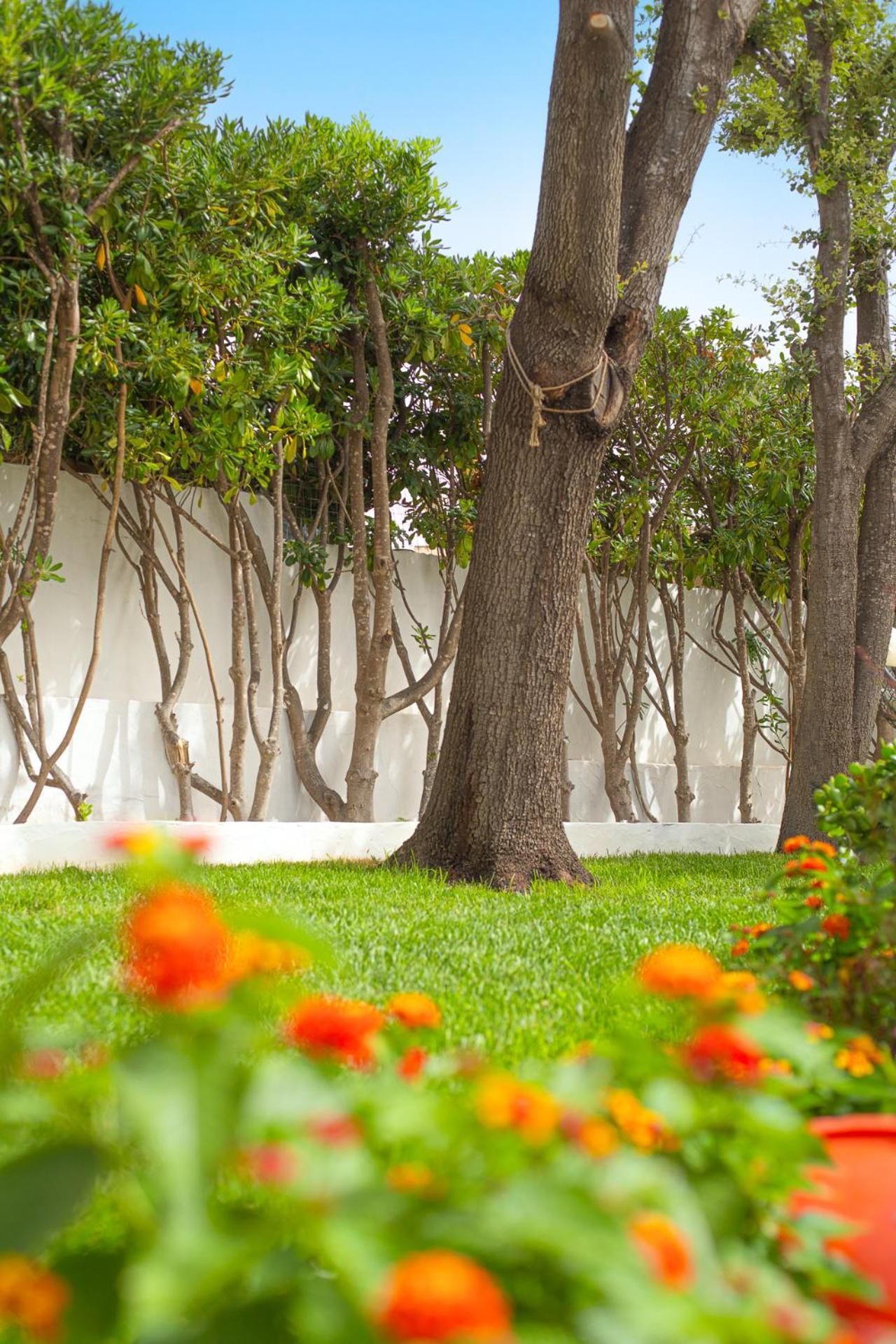 Casa Masini San Teodoro Apartment Monte Petrosu Bagian luar foto